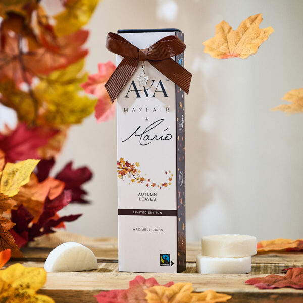 Ava Mayfair Autumn Leaves Wax Melt disc box